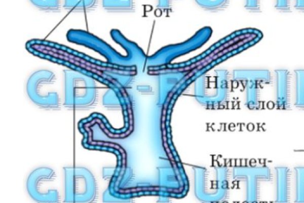 Как закинуть деньги на кракен